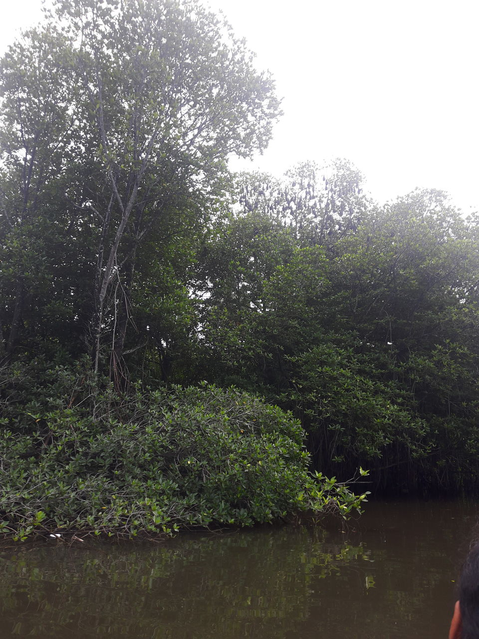 Photo of Bentota, Sri Lanka by Nandini Priya Bhaskar