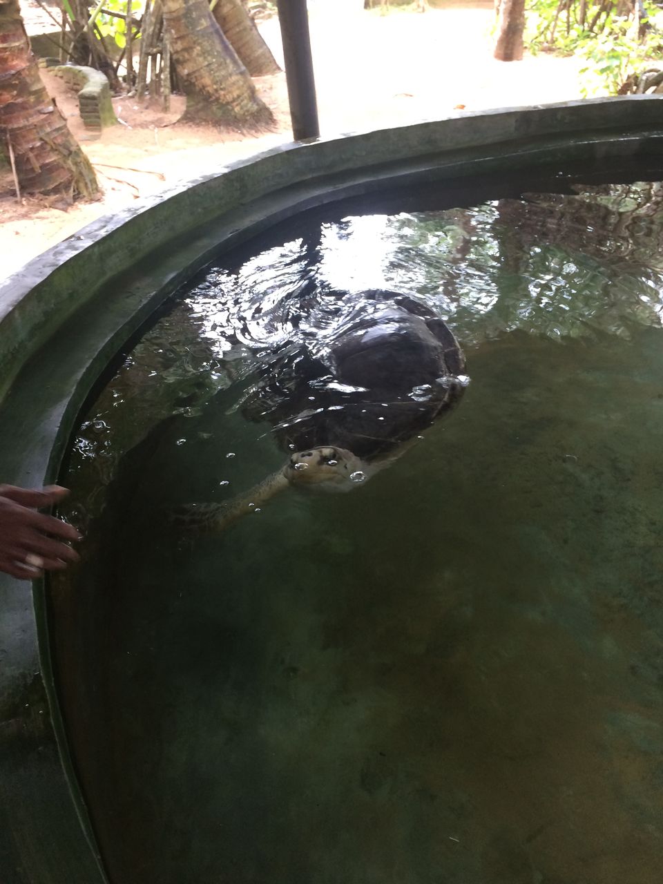 Photo of Bentota, Sri Lanka by Nandini Priya Bhaskar