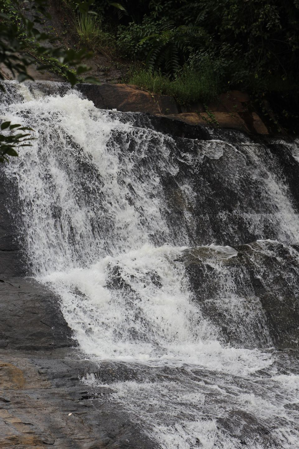 Photo of One of India's hidden secret - Bamboo Chicken at Araku Valley by Nandini Priya Bhaskar