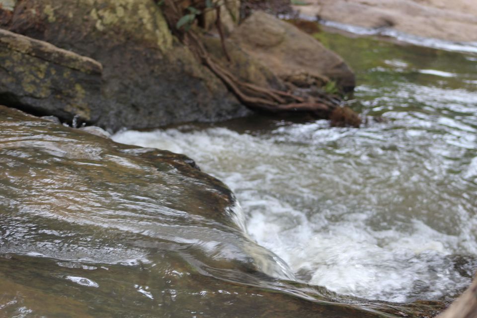 Photo of One of India's hidden secret - Bamboo Chicken at Araku Valley by Nandini Priya Bhaskar