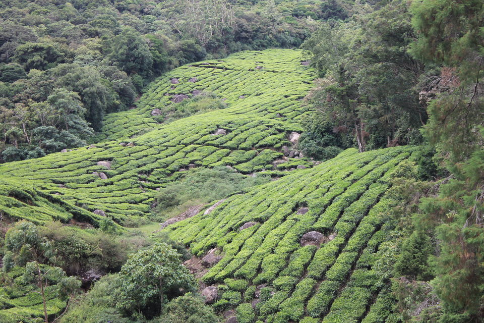 Photo of Movies which inspired me to travel! by Nandini Priya Bhaskar