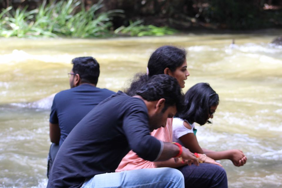 Photo of Coorg, Karnataka, India by Nandini Priya Bhaskar