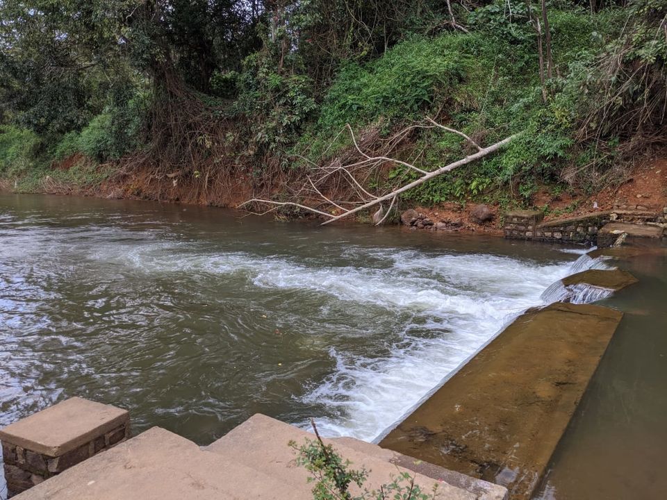 Photo of Coorg, Karnataka, India by Nandini Priya Bhaskar