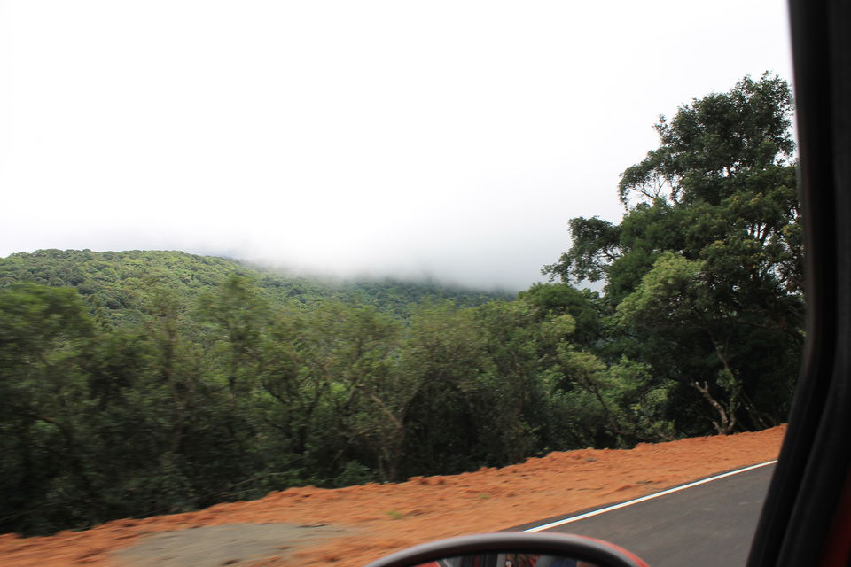 Photo of Megamalai, Tamil Nadu, India by Nandini Priya Bhaskar