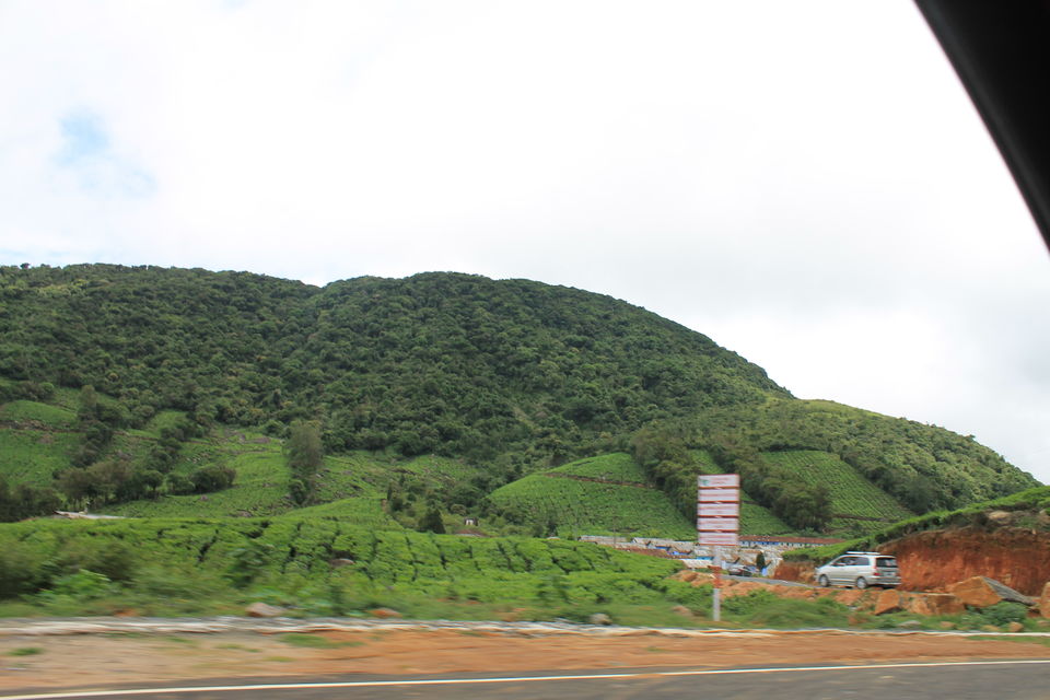 Photo of Megamalai, Tamil Nadu, India by Nandini Priya Bhaskar