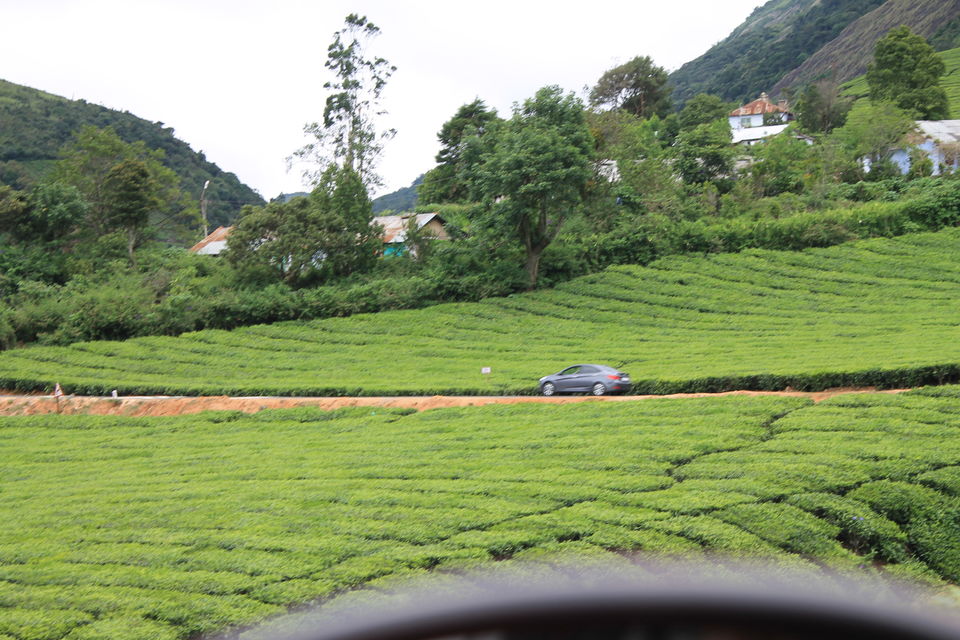 Photo of Megamalai, Tamil Nadu, India by Nandini Priya Bhaskar