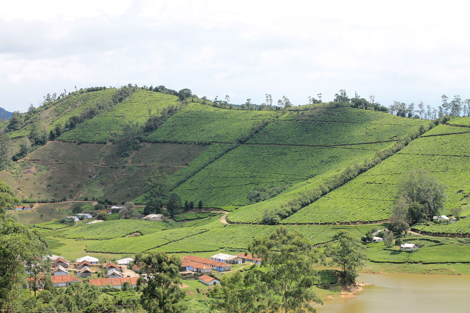 Photo of Megamalai, Tamil Nadu, India by Nandini Priya Bhaskar