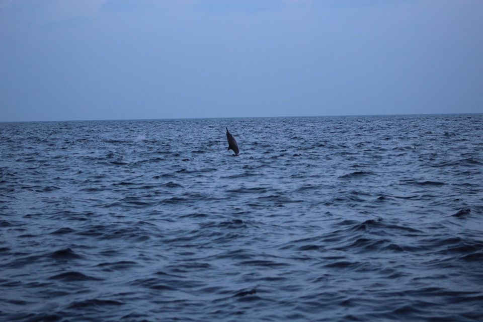 Photo of Maldives by Nandini Priya Bhaskar