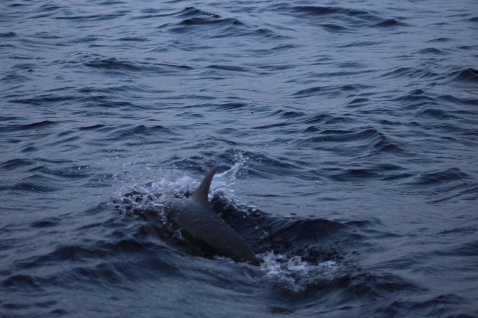 Photo of Maldives by Nandini Priya Bhaskar