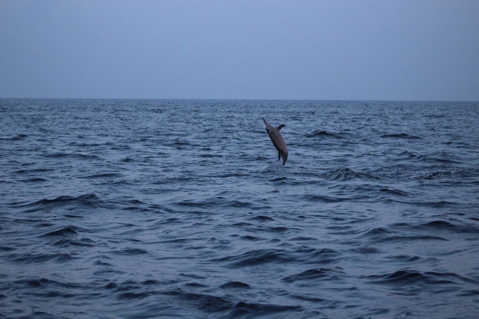 Photo of Maldives by Nandini Priya Bhaskar