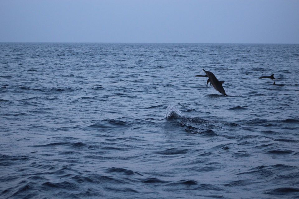 Photo of Maldives by Nandini Priya Bhaskar