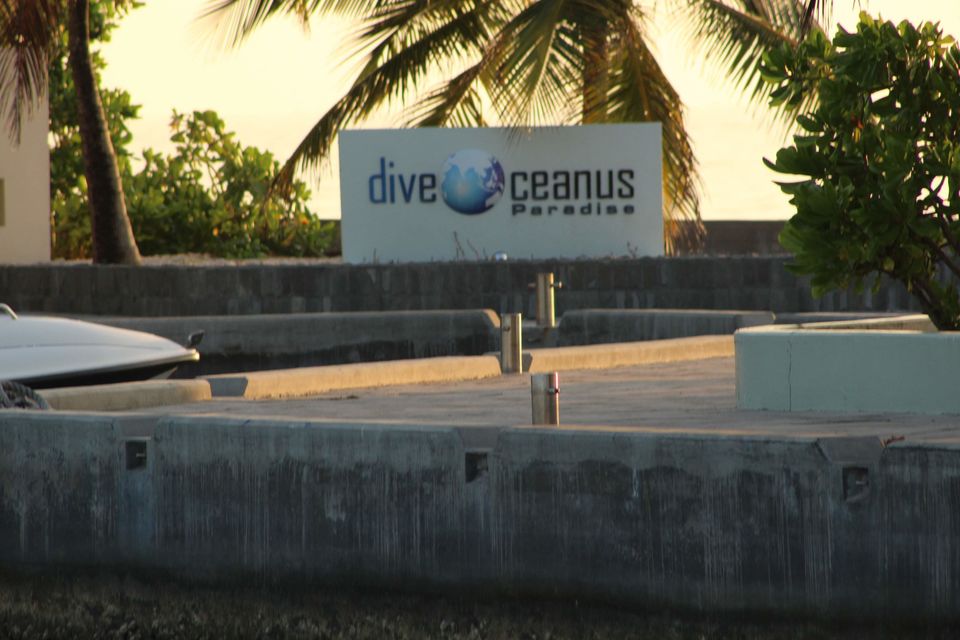 Photo of Maldives by Nandini Priya Bhaskar