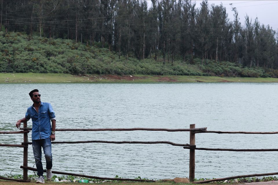 Photo of Pine Forest Shooting Spot, Ooty Main Road, Tamil Nadu, India by Vijay Yadav