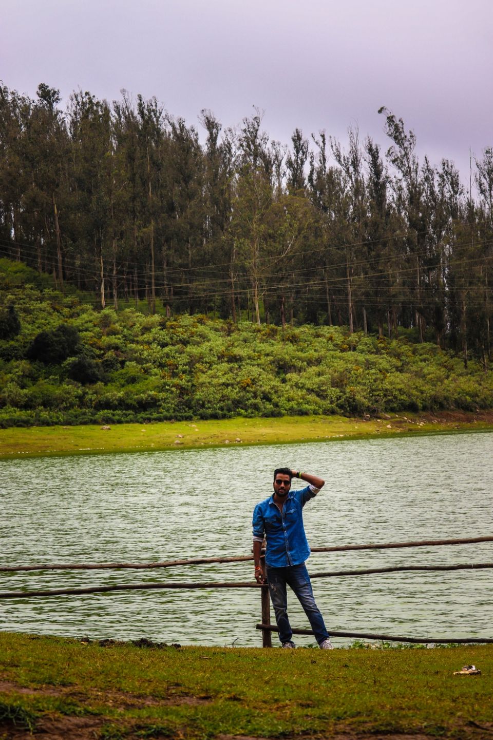 Photo of Pine Forest Shooting Spot, Ooty Main Road, Tamil Nadu, India by Vijay Yadav