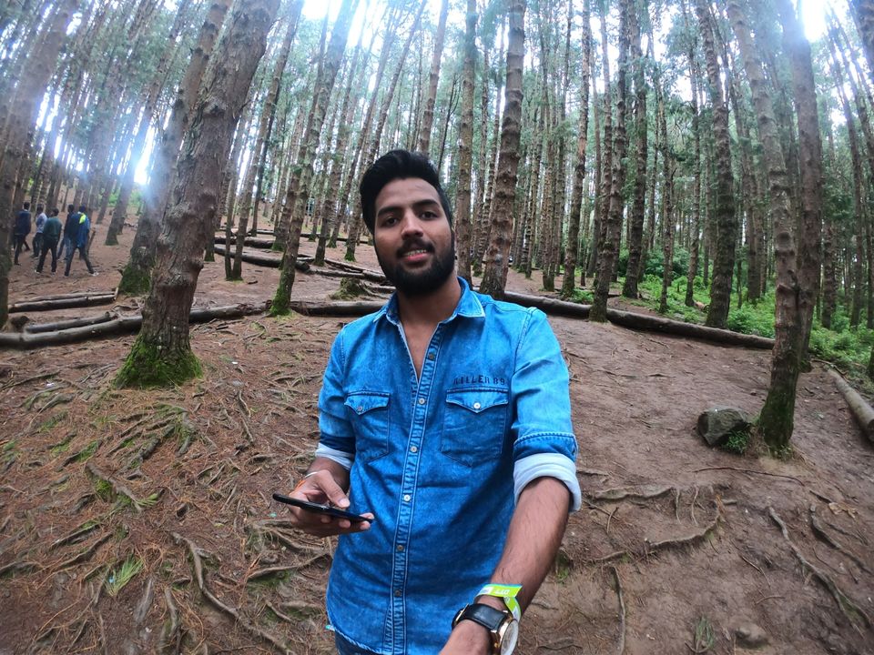 Photo of Pine Forest Shooting Spot, Ooty Main Road, Tamil Nadu, India by Vijay Yadav