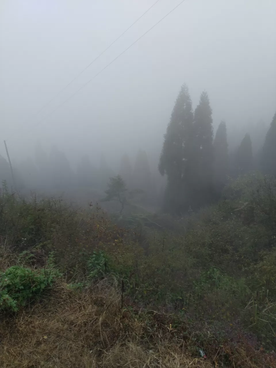Photo of Manebhanjan Bazar, Mane Bhanjang, West Bengal, India by Debopriyo Nandi