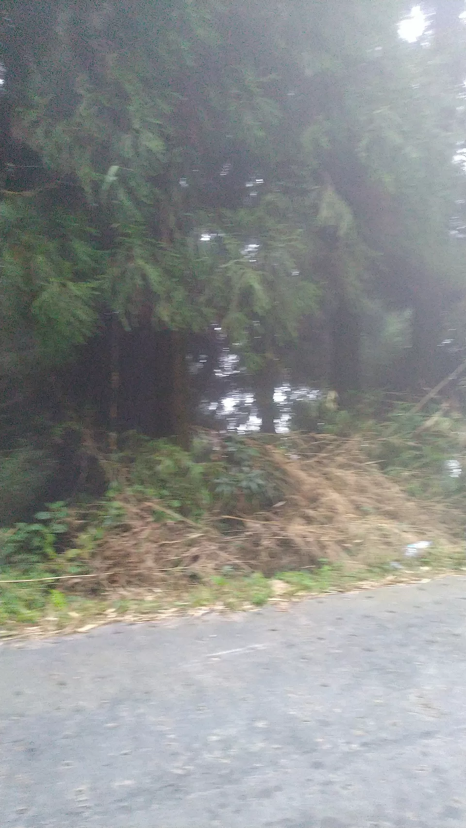 Photo of Manebhanjan Bazar, Mane Bhanjang, West Bengal, India by Debopriyo Nandi