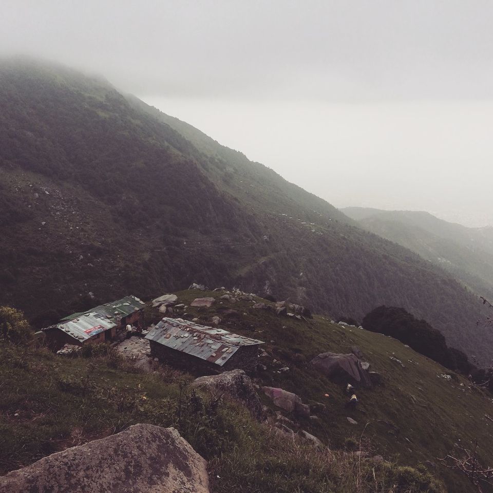 Photo of Where nature takes your heart away- Triund, Himachal Pradesh by Jolly Rawal