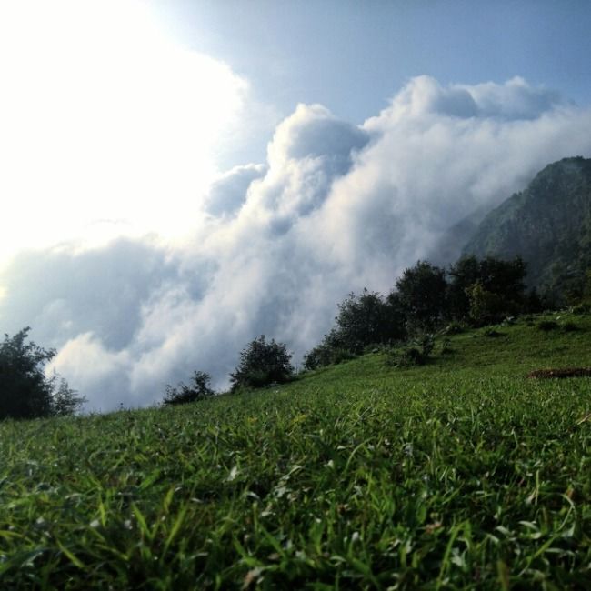Photo of Local's Delight : Karol Tibba Trek (Solan) by Mayank Pathak