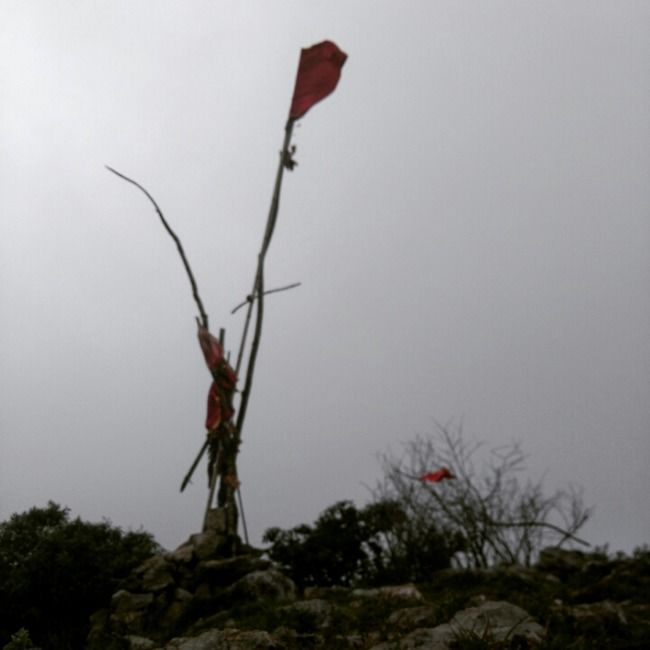 Photo of Local's Delight : Karol Tibba Trek (Solan) by Mayank Pathak