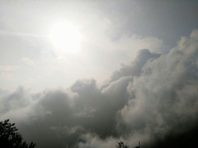 Photo of Local's Delight : Karol Tibba Trek (Solan) by Mayank Pathak