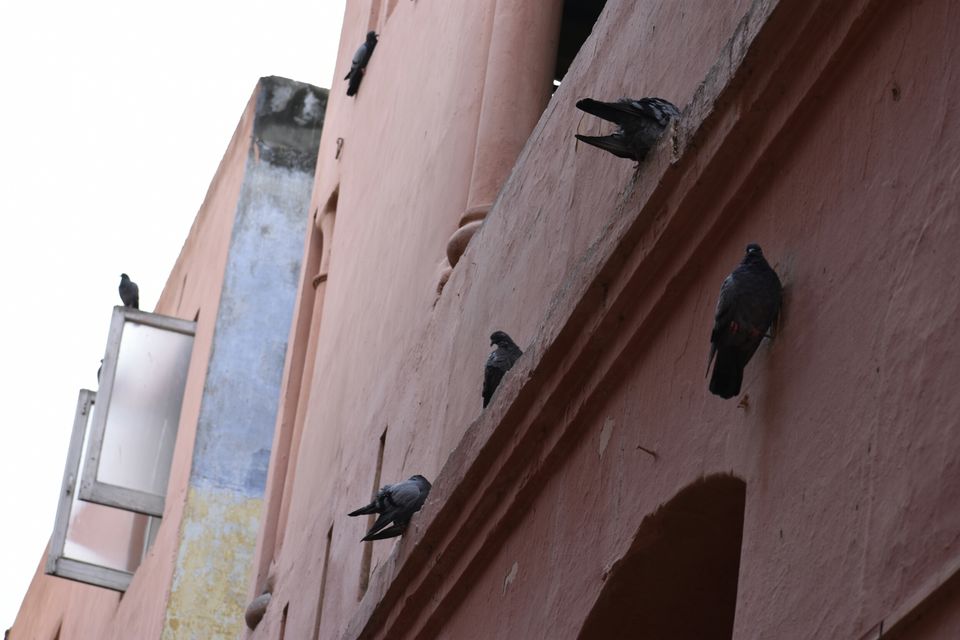 Photo of Jallianwala Bagh Memorial, Jallan Wala Bagh, Katra Ahluwalia, Amritsar, Punjab, India by Mayank Pathak