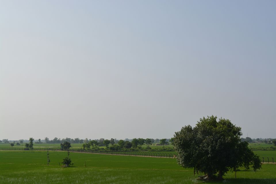 Photo of Wagah, Wagah, Hardo Rattan, Punjab, India by Mayank Pathak