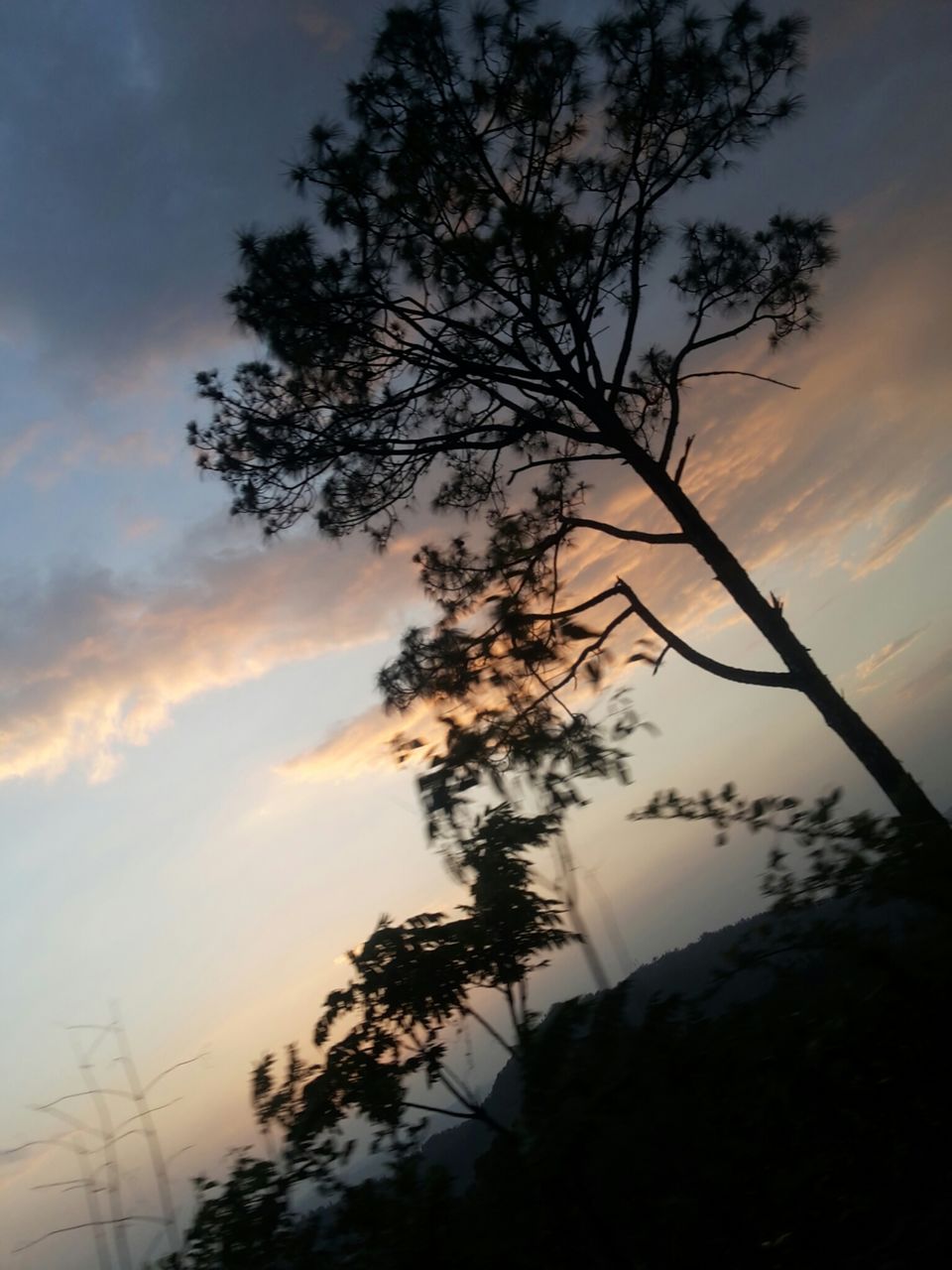 Photo of Chandigarh, India by Mayank Pathak