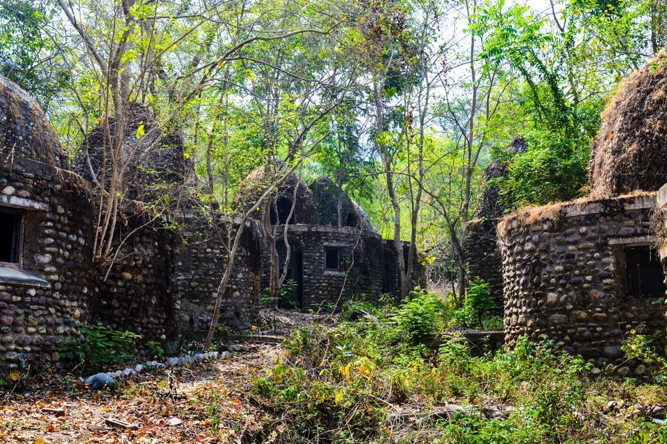 Photo of Getting lost in Beatles Ashram - Rishikesh by Mayank Pathak