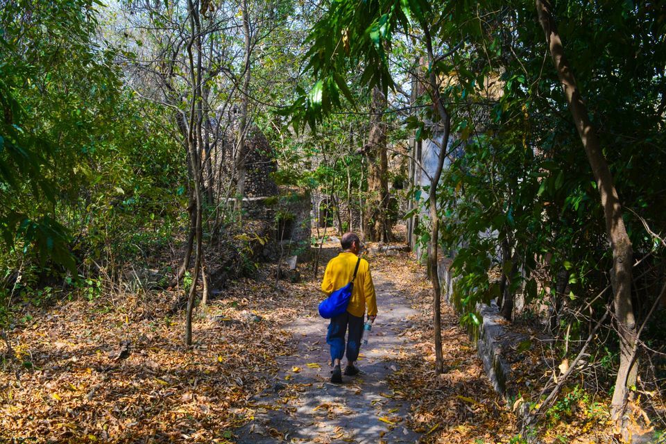 Photo of Getting lost in Beatles Ashram - Rishikesh by Mayank Pathak