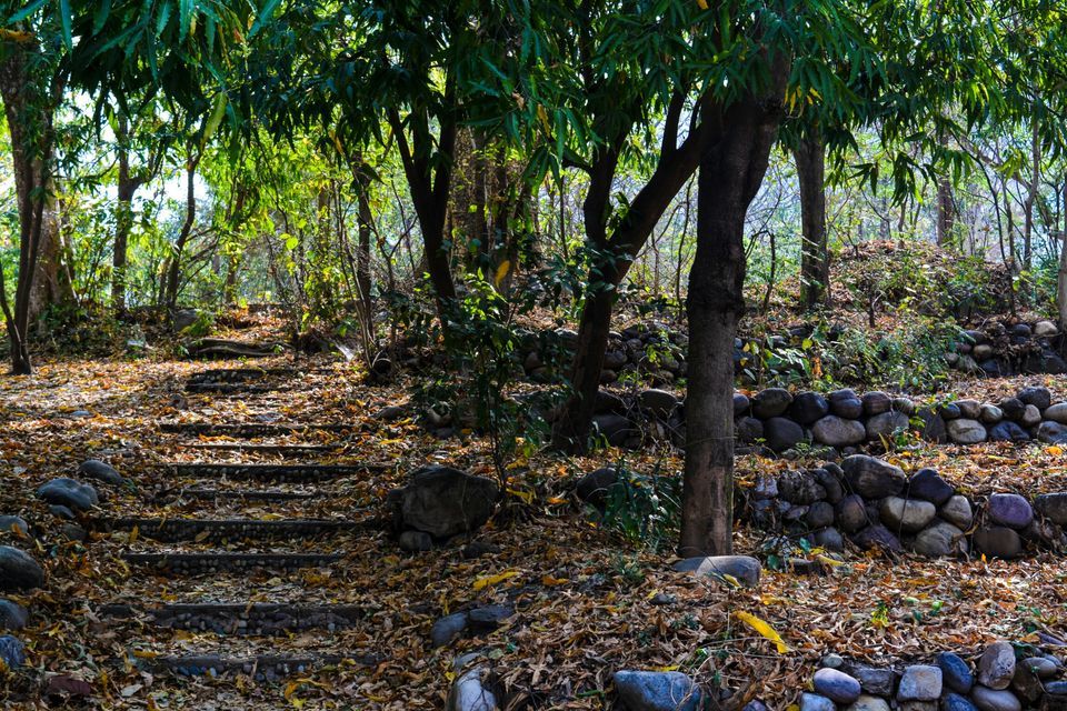 Photo of Getting lost in Beatles Ashram - Rishikesh by Mayank Pathak