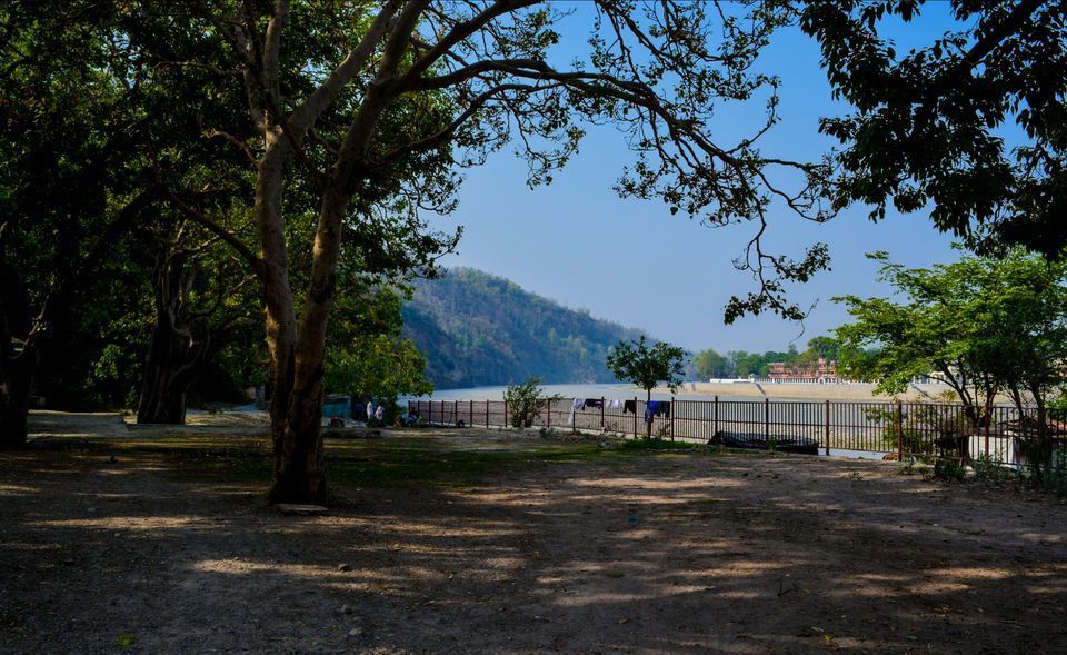 Photo of Getting lost in Beatles Ashram - Rishikesh by Mayank Pathak