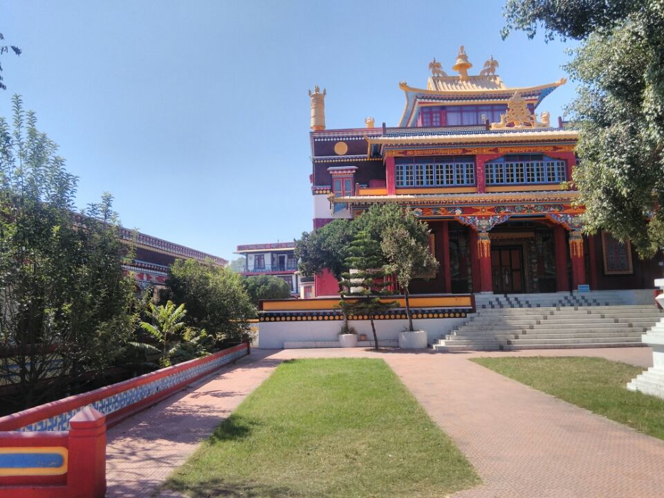 Visit the only Bon Monastery in India at Solan (The Menri Monastery ...