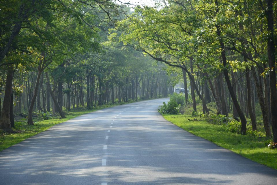 Photo of Weekend at Waynard by Prokhor Rudra