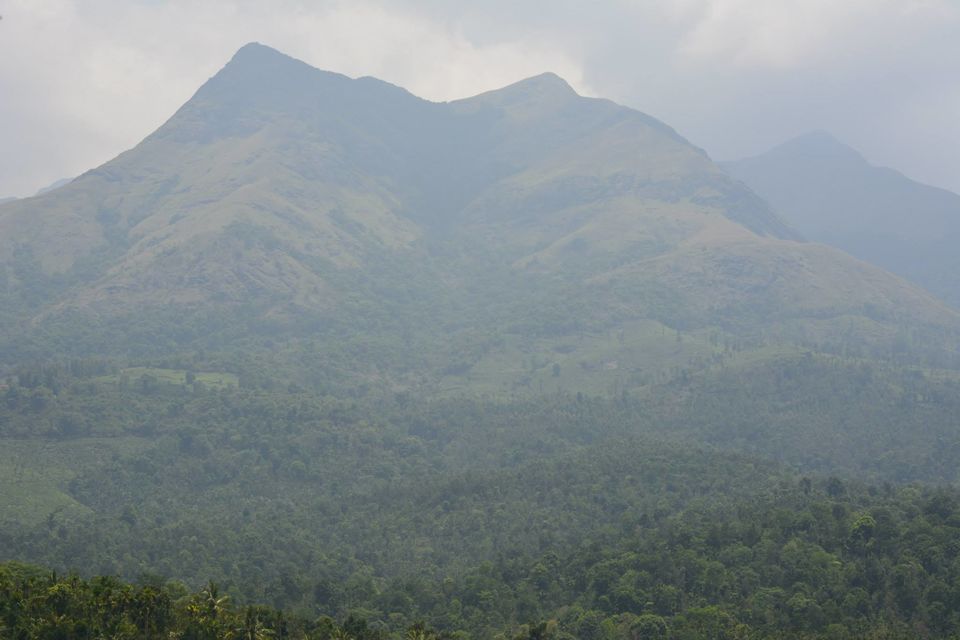 Photo of Weekend at Waynard by Prokhor Rudra