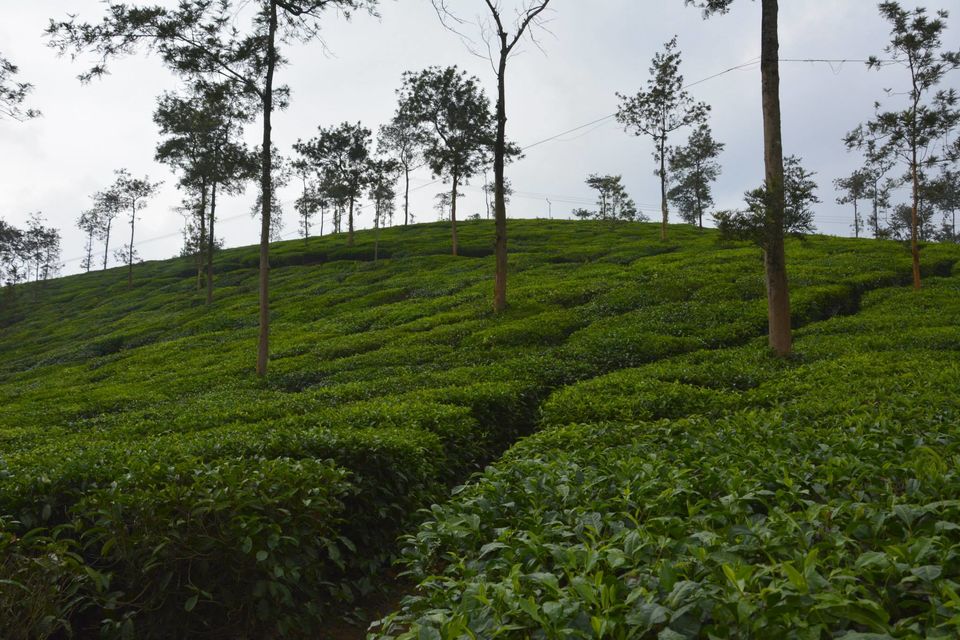 Photo of Weekend at Waynard by Prokhor Rudra