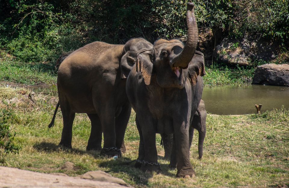 Photo of Bannerghatta National Park by Pavel Ray