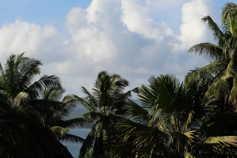 Photo of Rose Island, Andaman and Nicobar Islands by Awadh Vyas