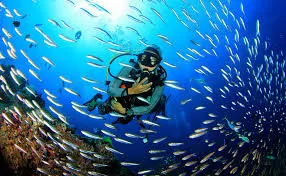 Photo of North Bay Island, Andaman and Nicobar Islands, India by Awadh Vyas