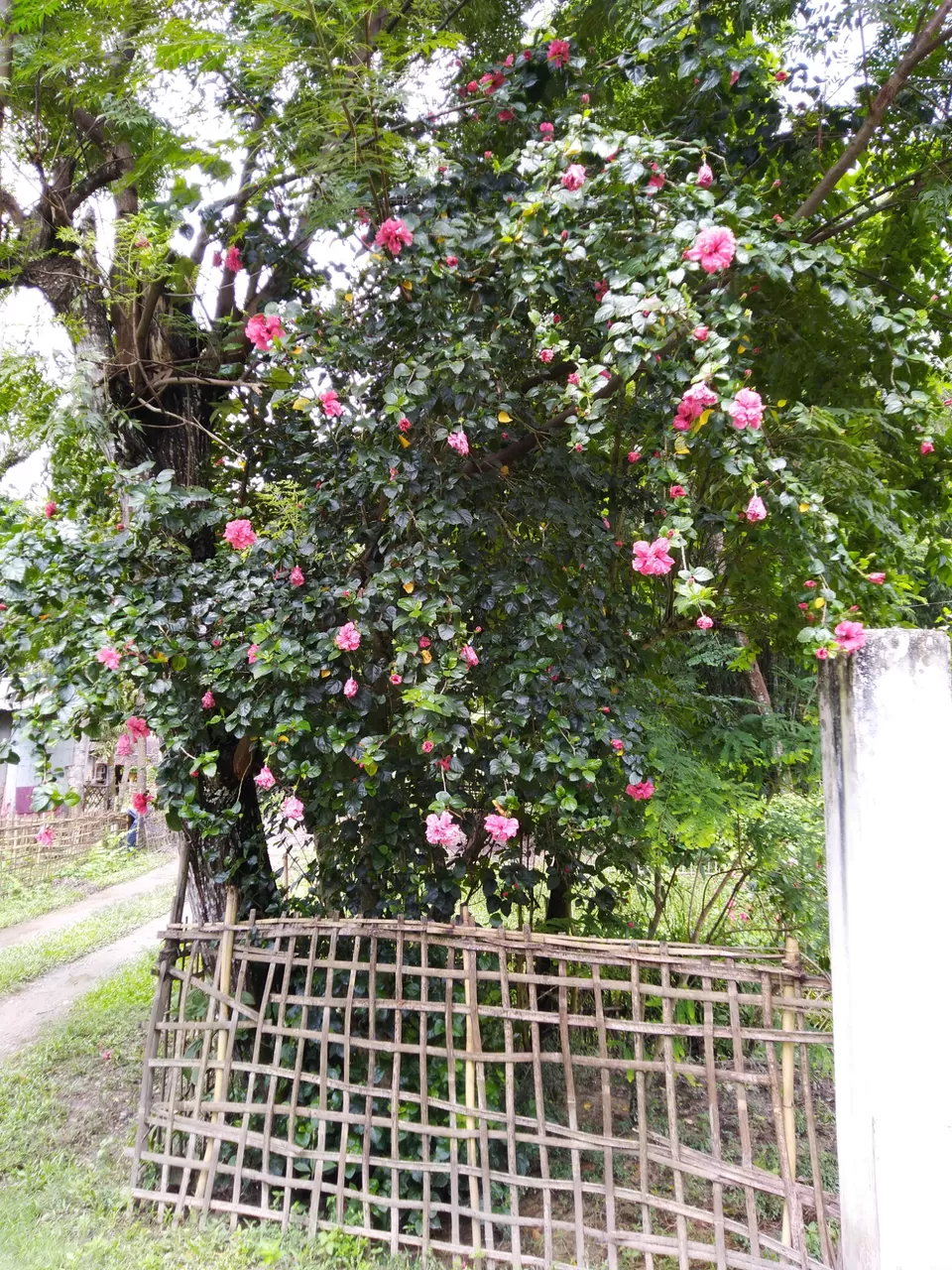 Photo of Kannur- an budget weekend gateway. by Karpurmanjari Kakati