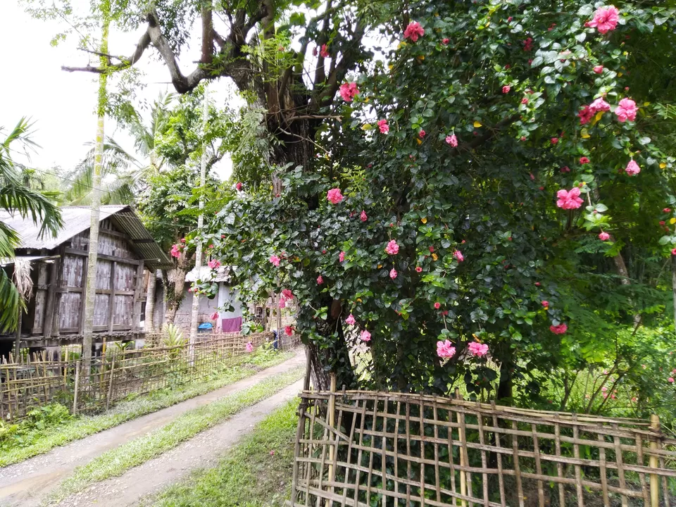 Photo of Kannur- an budget weekend gateway. by Karpurmanjari Kakati