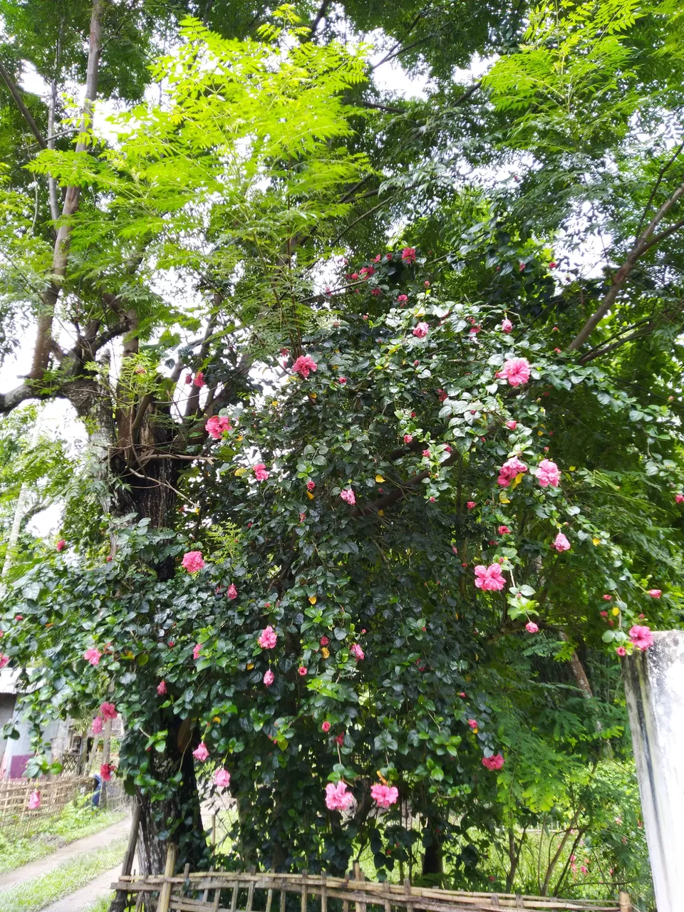 Photo of Kannur- an budget weekend gateway. by Karpurmanjari Kakati