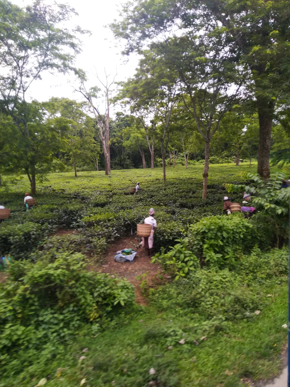 Photo of Kannur- an budget weekend gateway. by Karpurmanjari Kakati