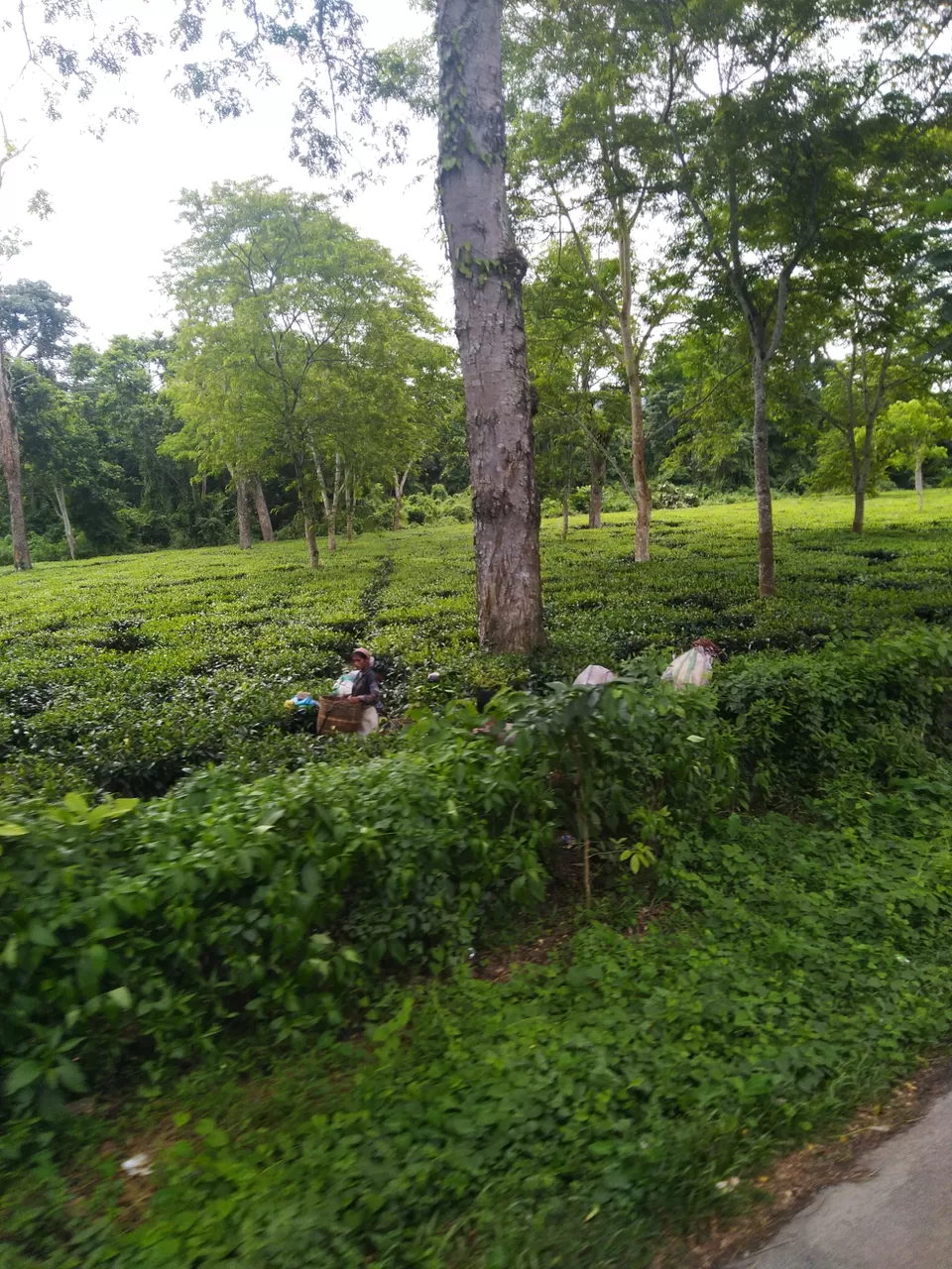 Photo of Kannur- an budget weekend gateway. by Karpurmanjari Kakati