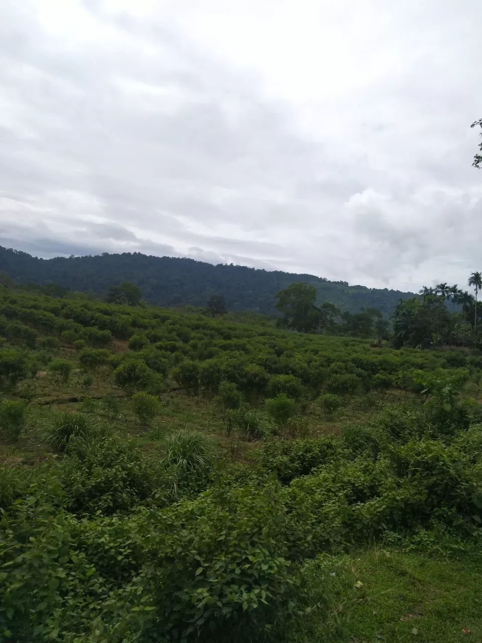 Photo of Kannur- an budget weekend gateway. by Karpurmanjari Kakati