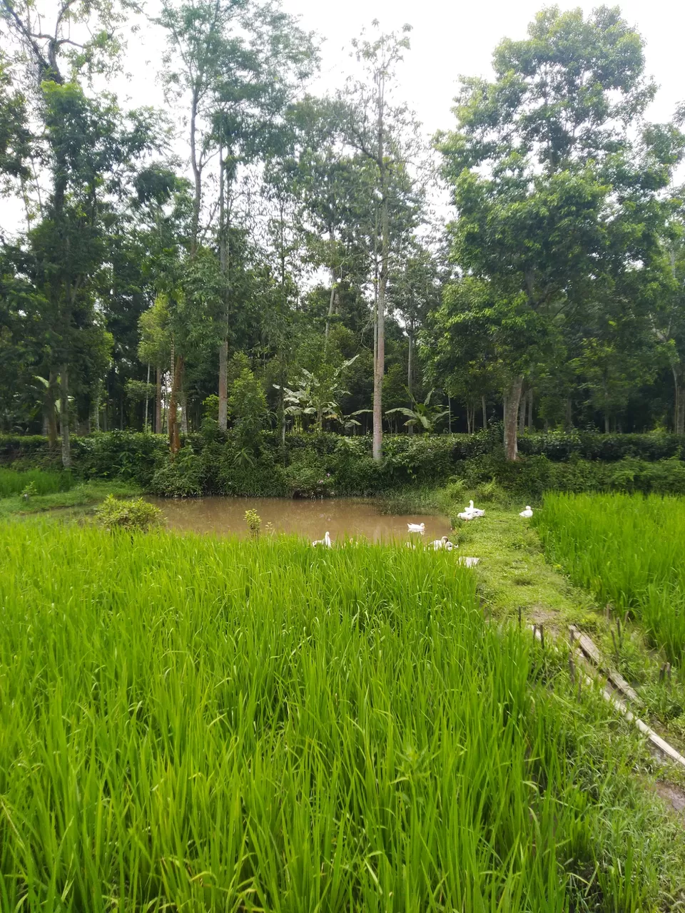 Photo of Kannur- an budget weekend gateway. by Karpurmanjari Kakati