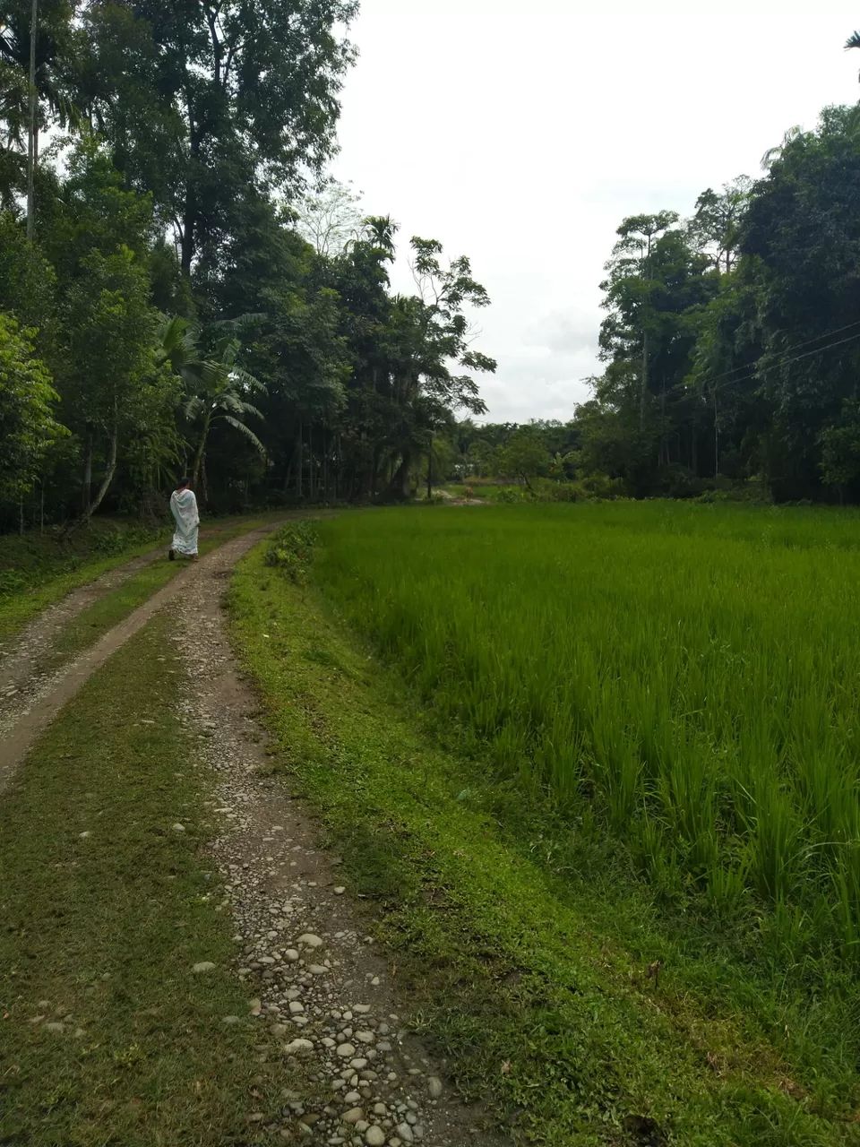 Photo of Kannur- an budget weekend gateway. by Karpurmanjari Kakati