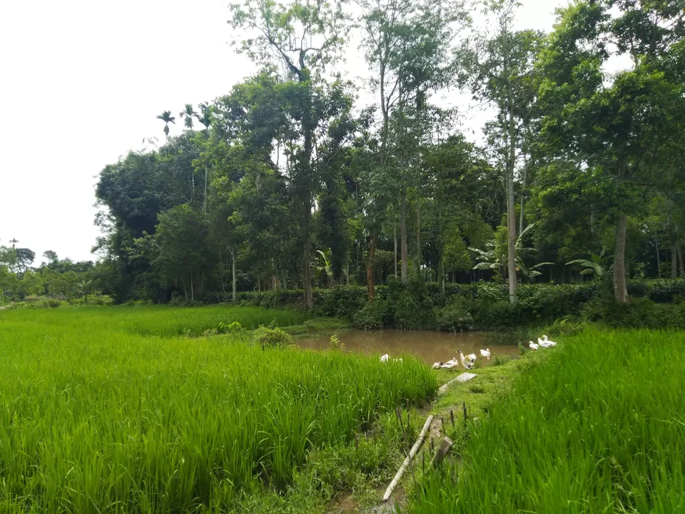 Photo of Kannur- an budget weekend gateway. by Karpurmanjari Kakati