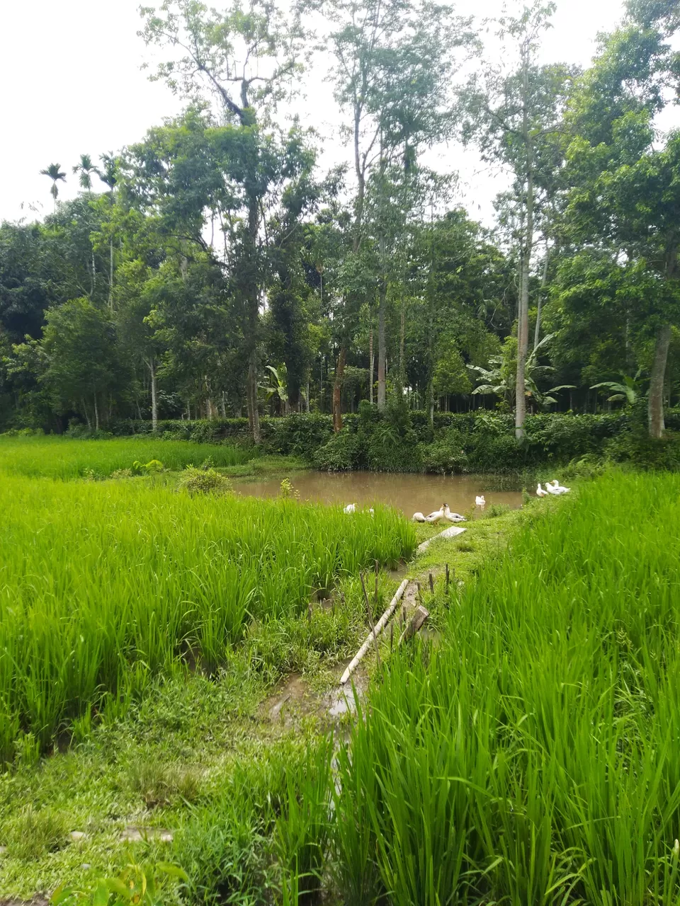 Photo of Kannur- an budget weekend gateway. by Karpurmanjari Kakati