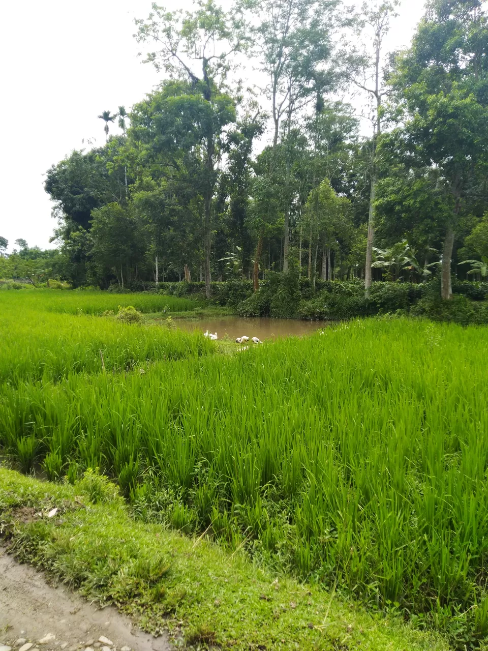 Photo of Kannur- an budget weekend gateway. by Karpurmanjari Kakati